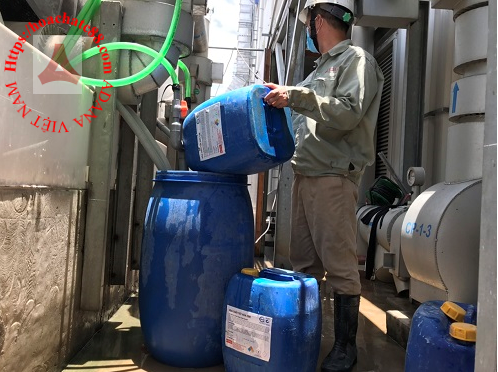 Hoa-chat-tay-can-o-ha-noi noi 2