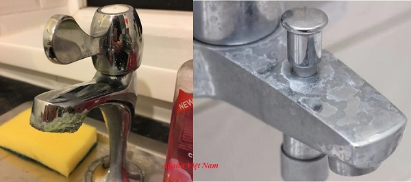 cach_de_loai_bo_can_voi_hoa_dong_cung