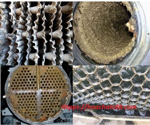 hoa_chat_tay_can_canxi_hieu_qua